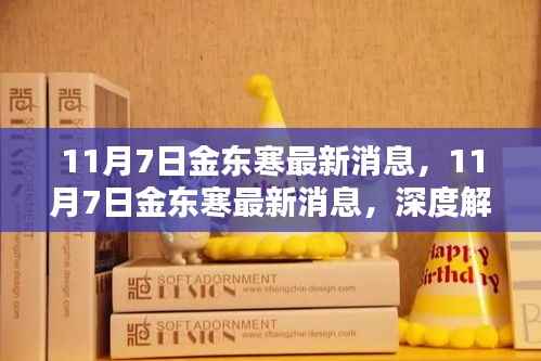 深度解析,金东寒最新动态与影响速递