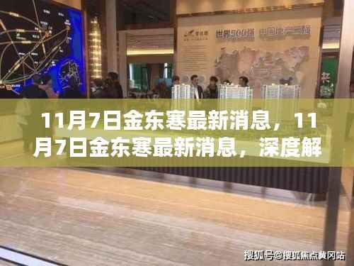 深度解析,金东寒最新动态与影响速递