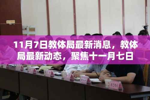 教体局最新动态,聚焦十一月七日更新消息