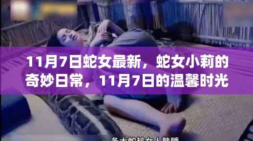 蛇女小莉的奇妙日常,11月7日的温馨时光记录