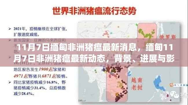 缅甸非洲猪瘟最新动态,背景、进展与影响(11月7日更新)