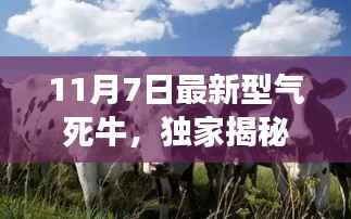 独家揭秘,全新气死牛高科技产品震撼登场,颠覆想象与体验!