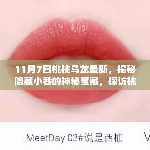 揭秘桃桃乌龙最新隐藏版小店的神秘宝藏之旅(探访小巷深处的惊喜)