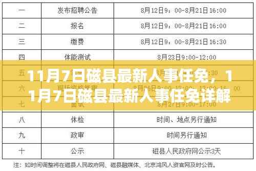 磁县最新人事任免详解,跟进与参与指南