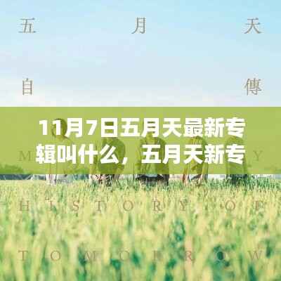 五月天新专辑深度评测与介绍,揭秘XXXX专辑名称及内容