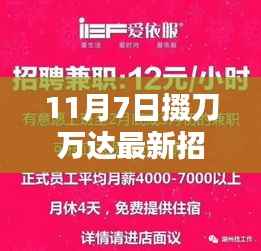 11月7日掇刀万达招聘信息深度解析,最新岗位与职业发展机会探讨