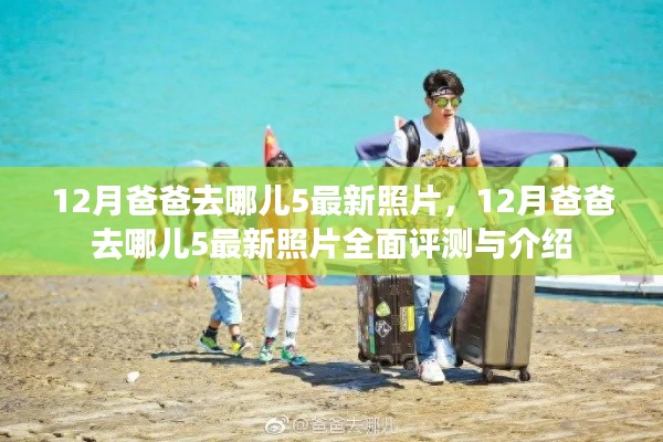 全始全终 第3页