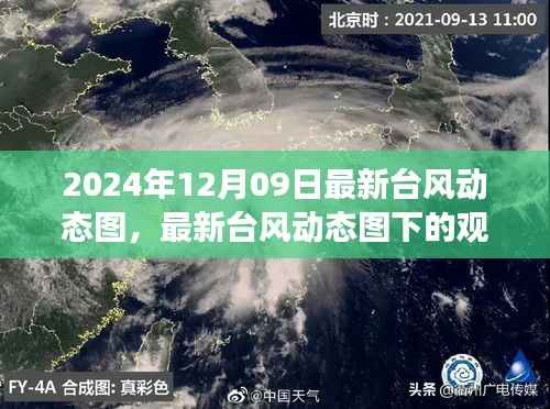 聚焦台风动态,最新观察与影响分析(2024年台风动态图下的观察与思考)