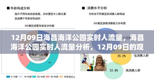 12月09日海昌海洋公园人流量实况及深度分析