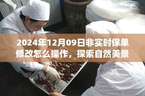 探索自然美景之旅,轻松操作保单修改指南与心灵之旅启程