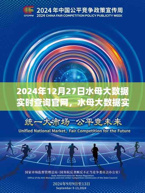 水母大数据实时查询官网,回顾与展望,展望未来的数据世界(2024年12月27日)