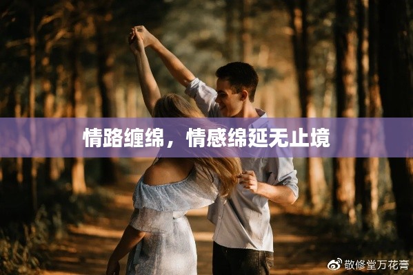 情路缠绵,情感绵延无止境