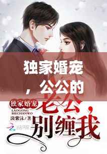 独家婚宠,公公的角色与影响力分析