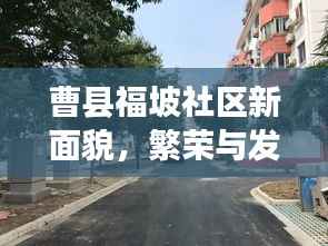 曹县福坡社区新面貌，繁荣与发展同步前行