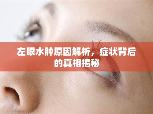 长颈鸟喙 第2页