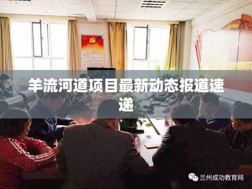 羊流河道项目最新动态报道速递