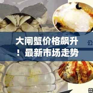 大闸蟹价格飙升!最新市场走势分析与预测重磅发布