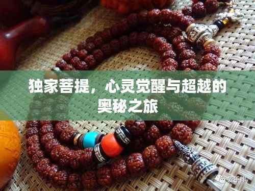 独家菩提,心灵觉醒与超越的奥秘之旅